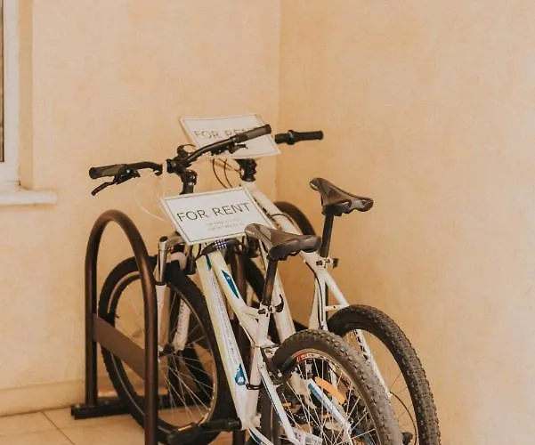 Ξενοδοχείο Premier Geneva 4*