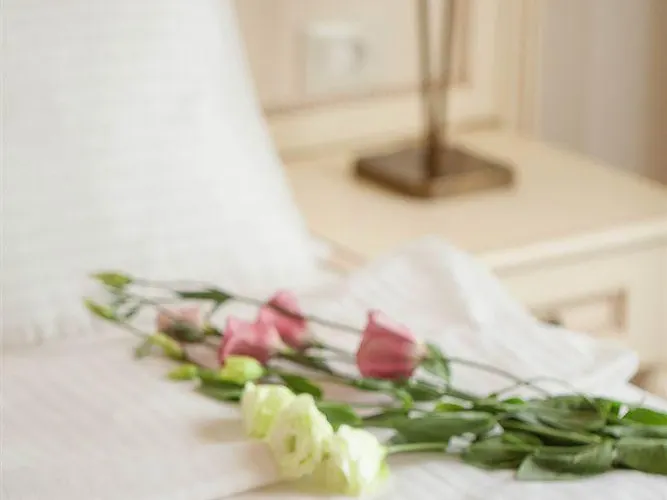 Hotel Premier Geneva