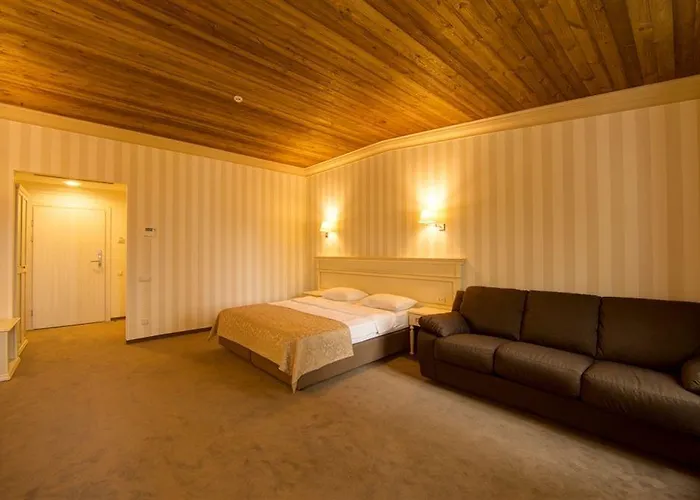 Premier Geneva 4* Odessza